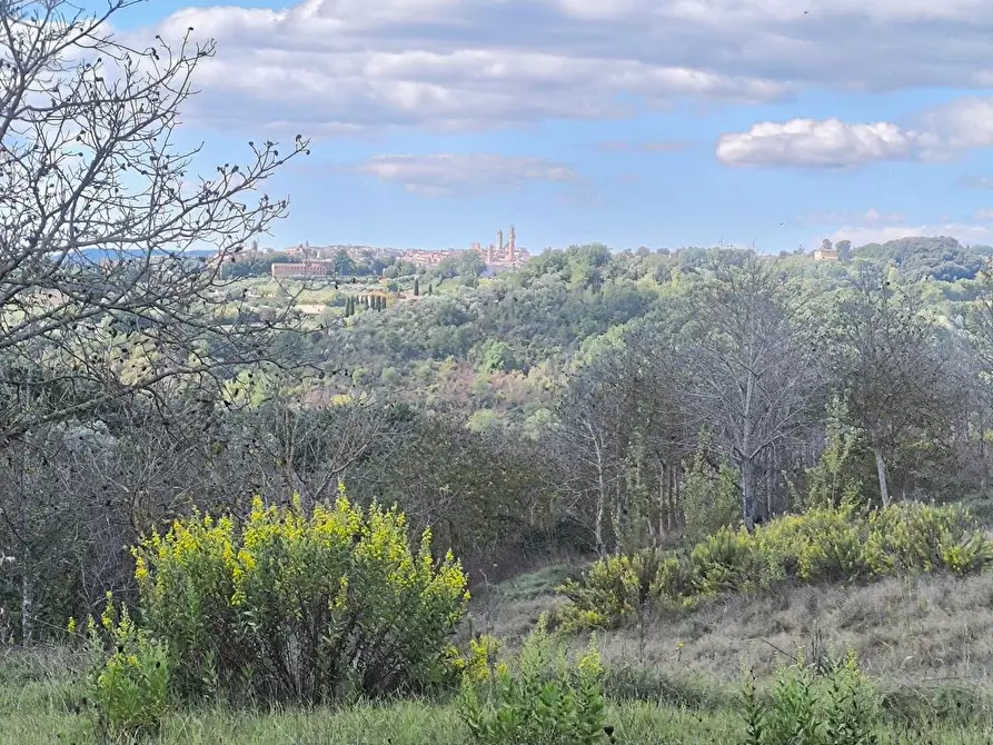 Immagine 26 di Casa colonica in vendita  a Siena