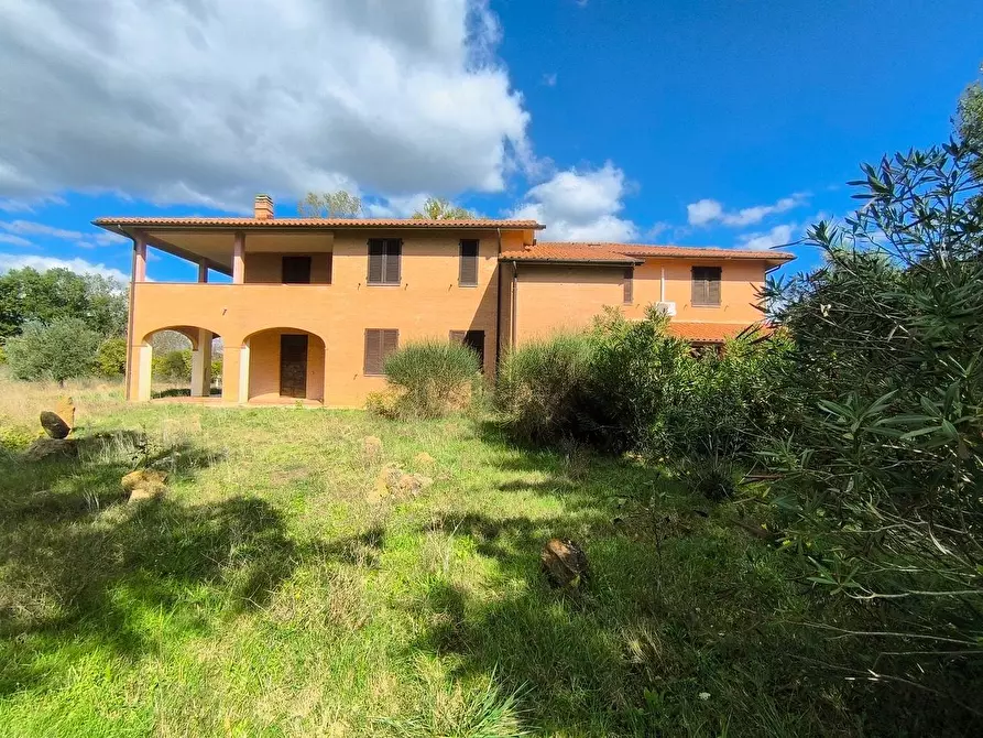Immagine 48 di Casa colonica in vendita  a Siena