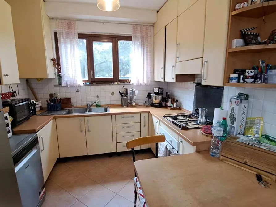 Immagine 8 di Terratetto in vendita  a Rosignano Marittimo