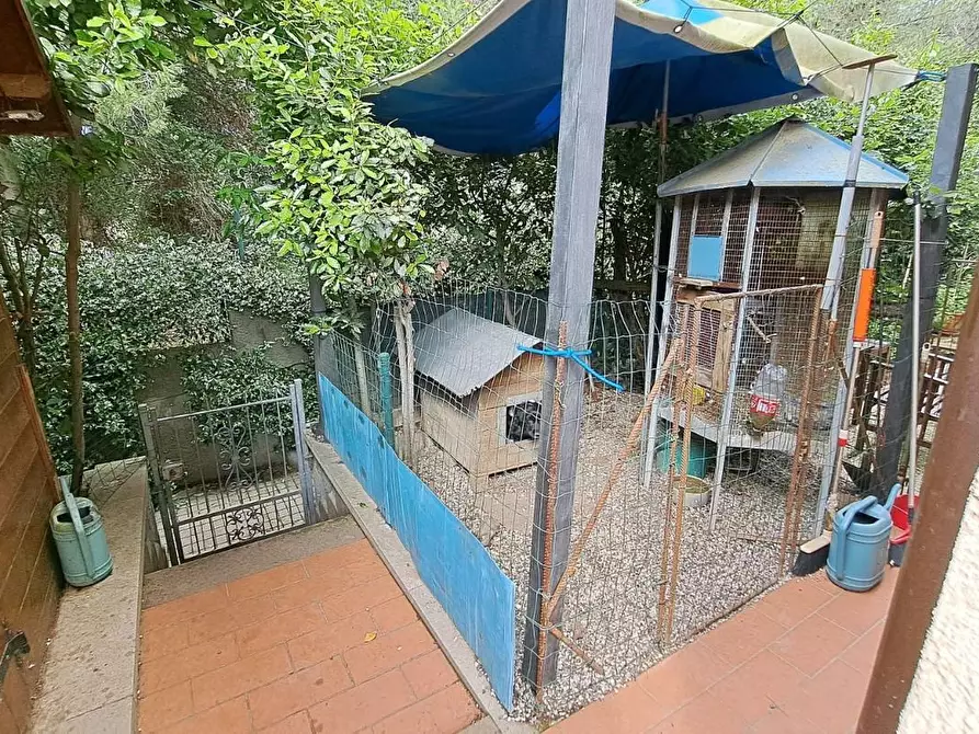 Immagine 20 di Terratetto in vendita  a Rosignano Marittimo