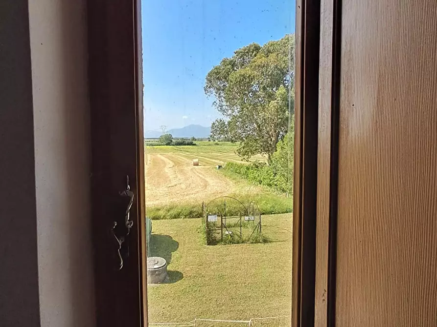 Immagine 15 di Rustico / casale in vendita  a Crespina Lorenzana