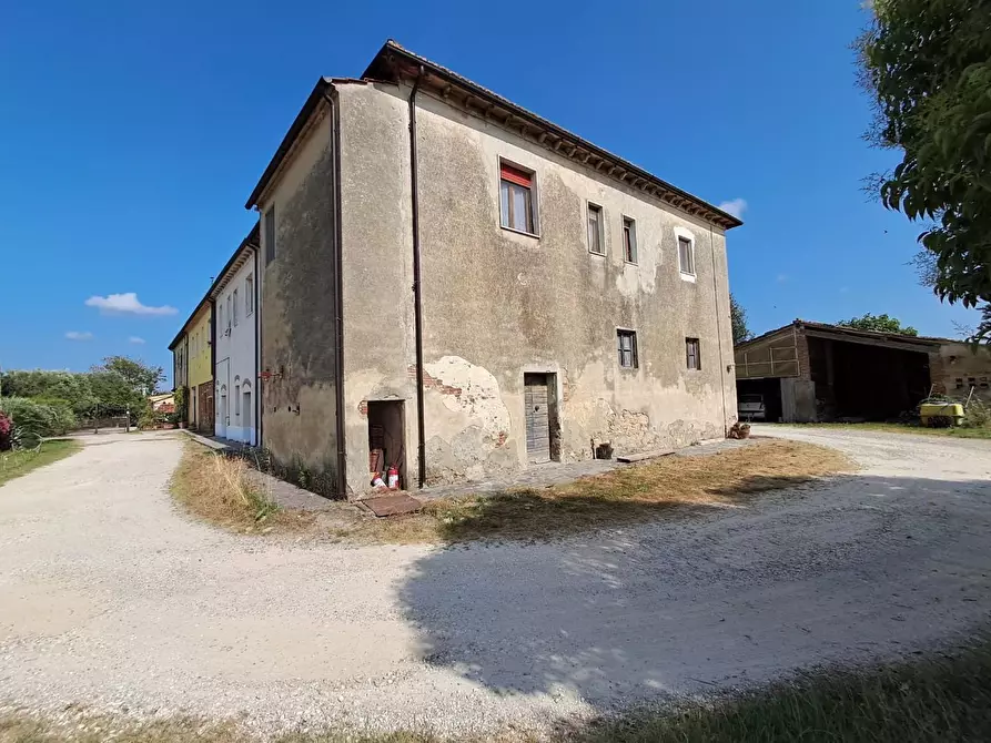 Immagine 11 di Rustico / casale in vendita  a Crespina Lorenzana