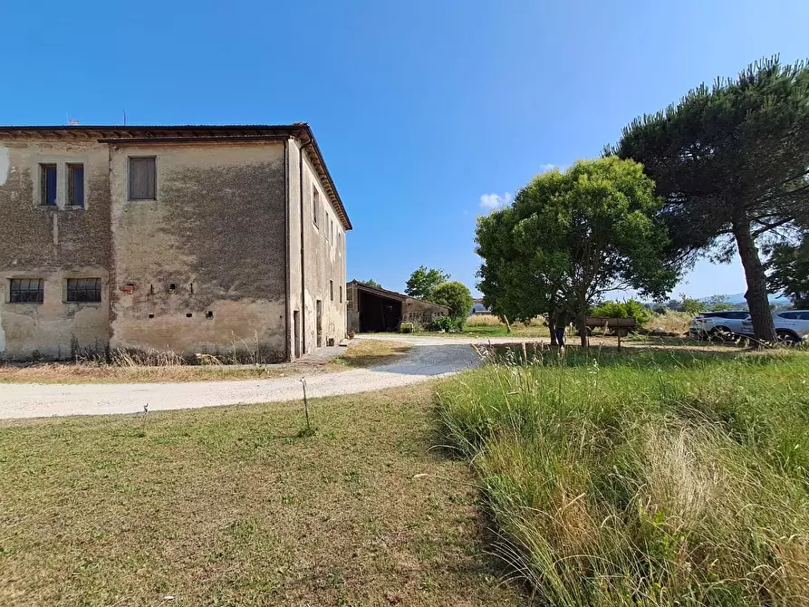 Immagine 7 di Rustico / casale in vendita  a Crespina Lorenzana
