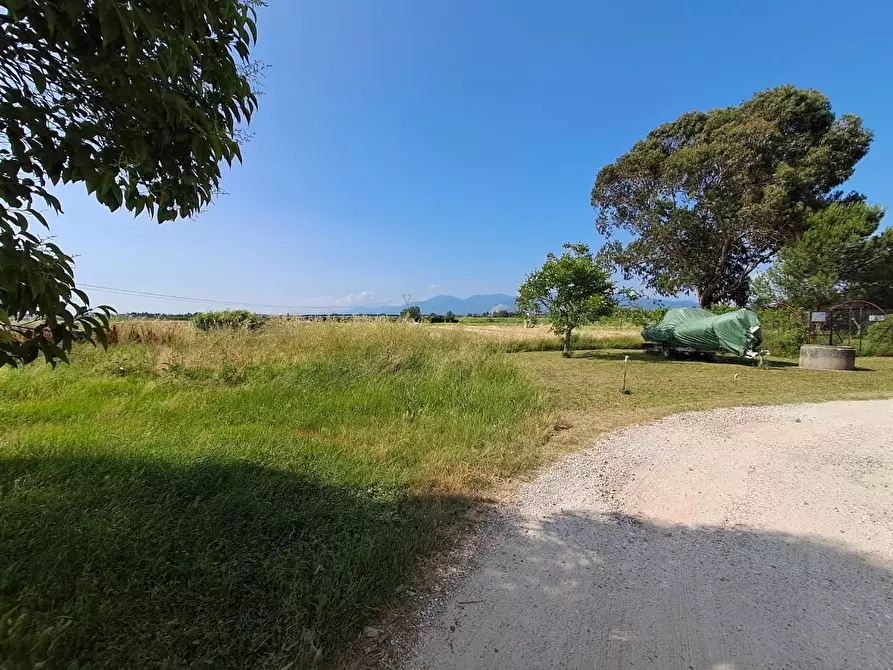 Immagine 3 di Rustico / casale in vendita  a Crespina Lorenzana