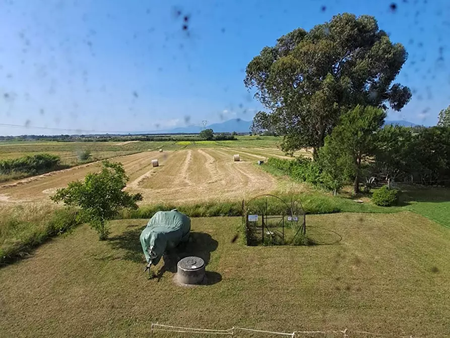 Immagine 18 di Rustico / casale in vendita  a Crespina Lorenzana
