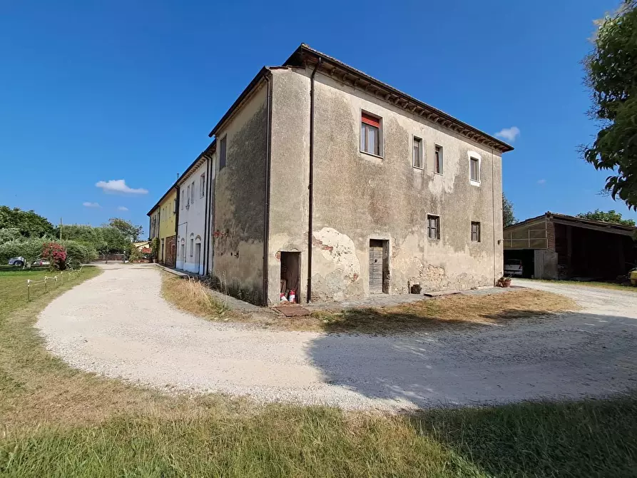 Immagine 14 di Rustico / casale in vendita  a Crespina Lorenzana