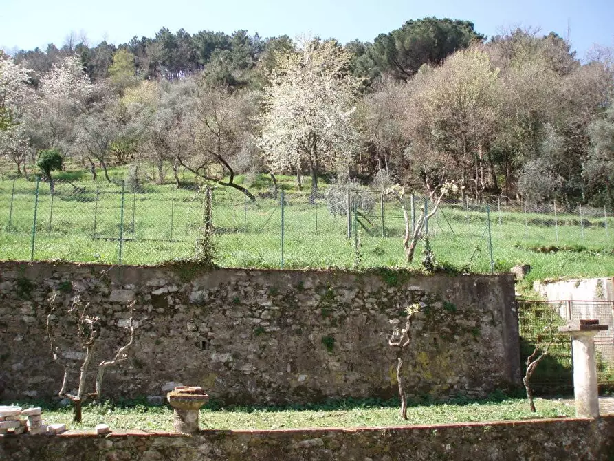Immagine 32 di Villa in vendita  a Lucca