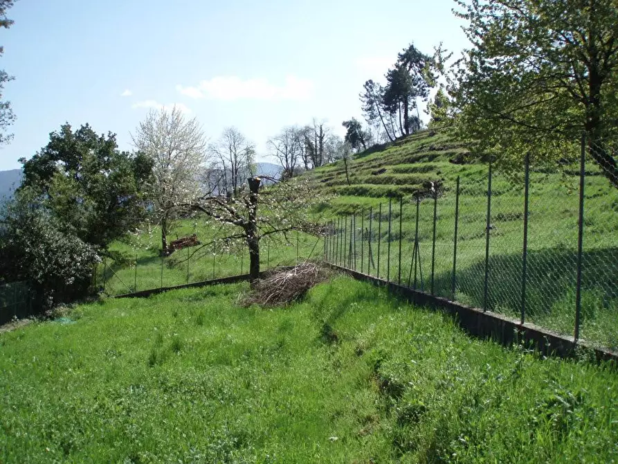 Immagine 43 di Villa in vendita  a Lucca