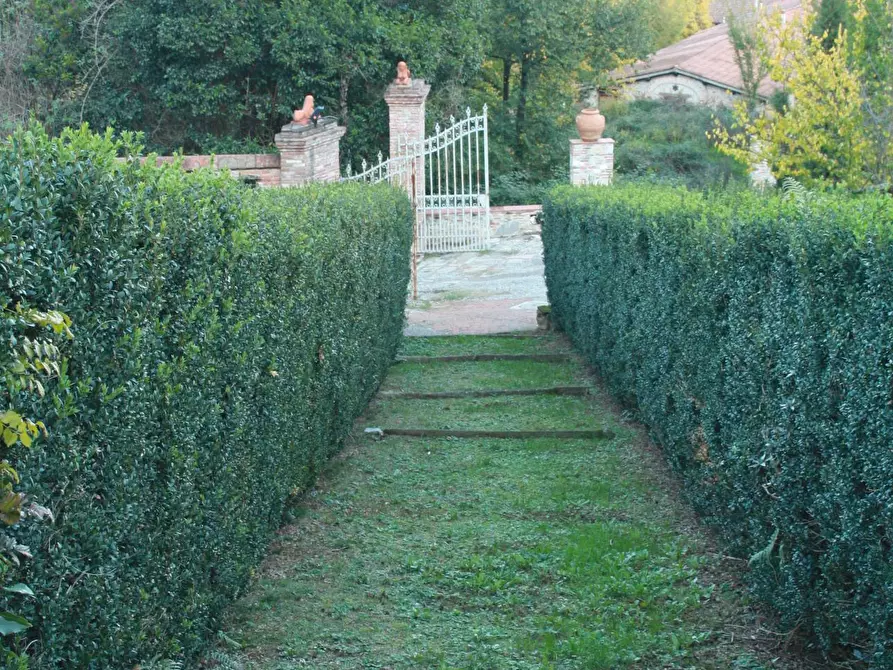 Immagine 19 di Villa in vendita  a Lucca