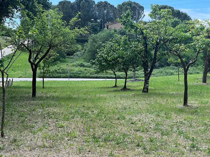 Immagine 2 di Magazzino in vendita  a Colle Di Val D'elsa