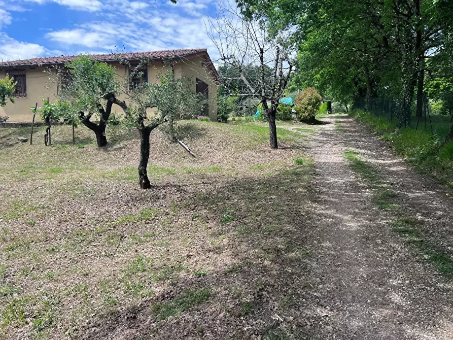 Immagine 1 di Magazzino in vendita  a Colle Di Val D'elsa
