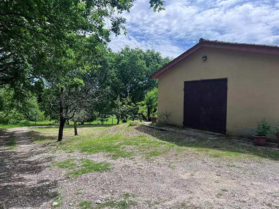 Immagine 3 di Magazzino in vendita  a Colle Di Val D'elsa