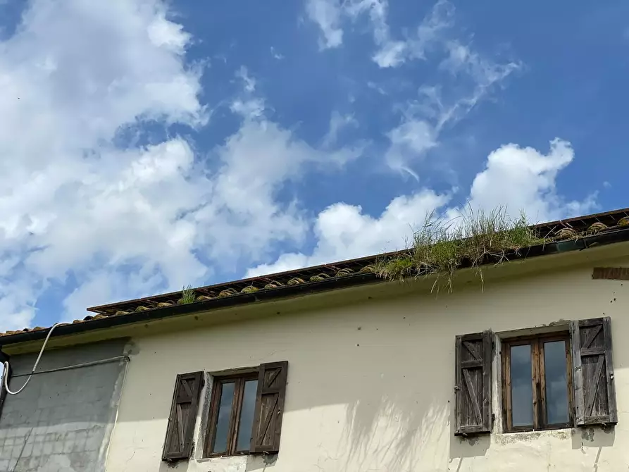 Immagine 7 di Casa colonica in vendita  a San Miniato