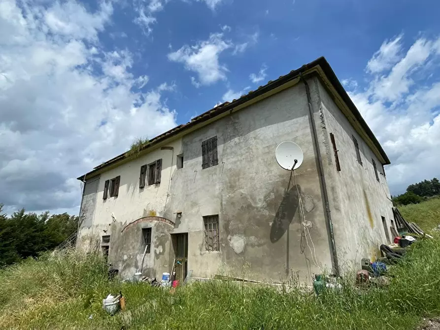 Immagine 5 di Casa colonica in vendita  a San Miniato