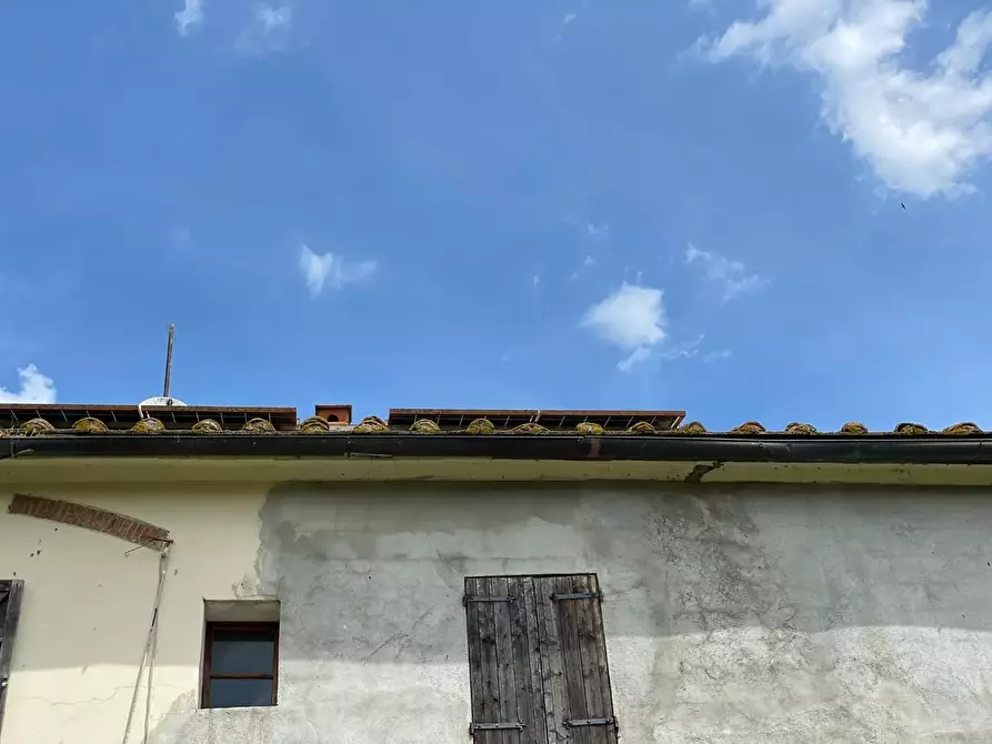 Immagine 8 di Casa colonica in vendita  a San Miniato