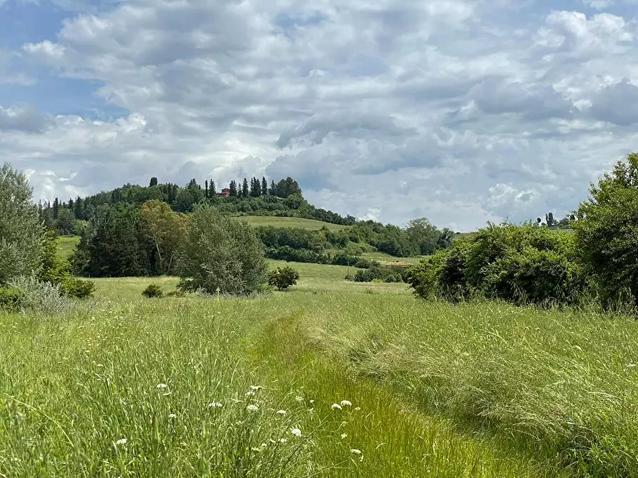 Immagine 13 di Casa colonica in vendita  a San Miniato