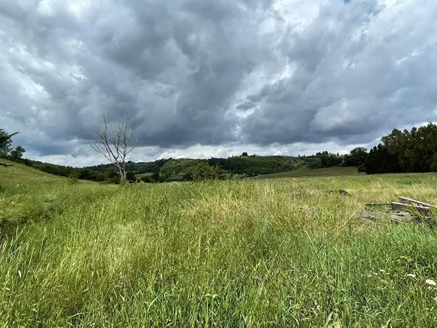 Immagine 11 di Casa colonica in vendita  a San Miniato