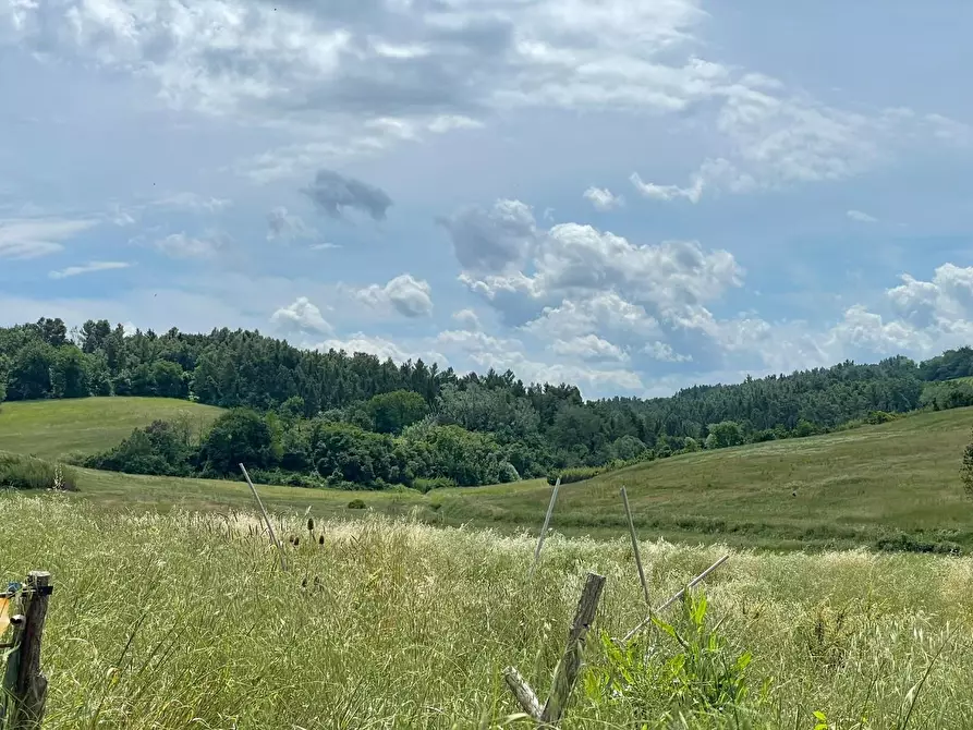 Immagine 12 di Casa colonica in vendita  a San Miniato