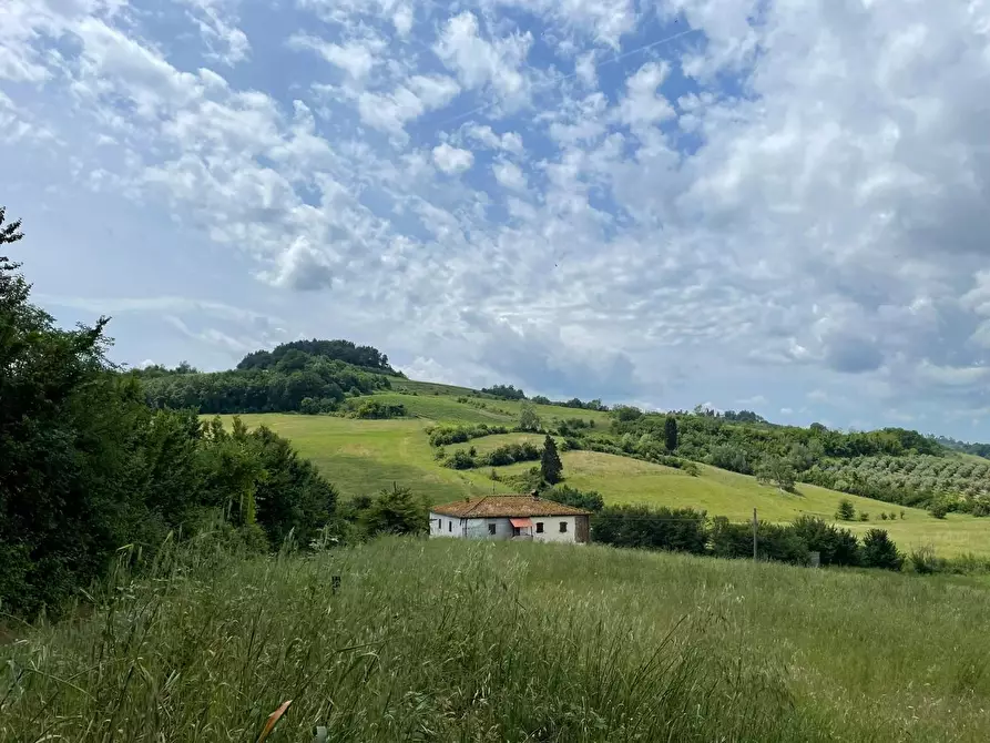 Immagine 1 di Casa colonica in vendita  a San Miniato