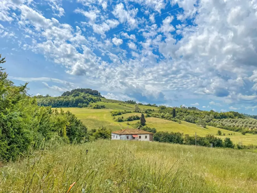 Immagine 1 di Casa colonica in vendita  a San Miniato