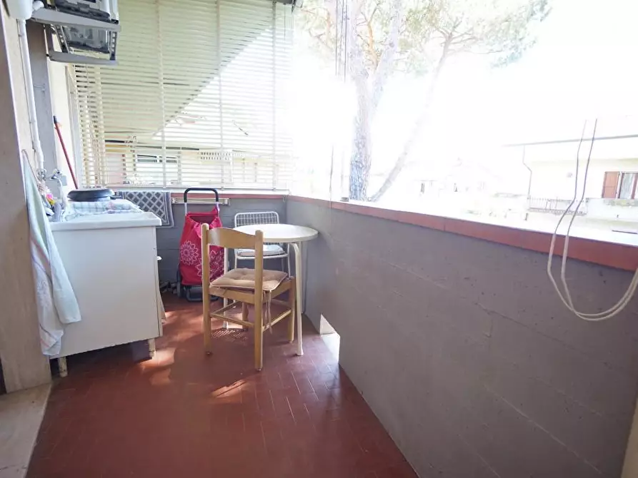 Immagine 2 di Appartamento in vendita  a Massa
