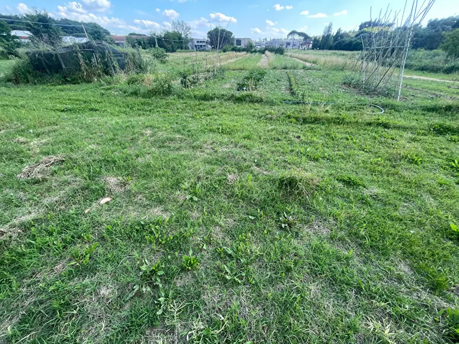 Immagine 19 di Terratetto in vendita  a Cerreto Guidi