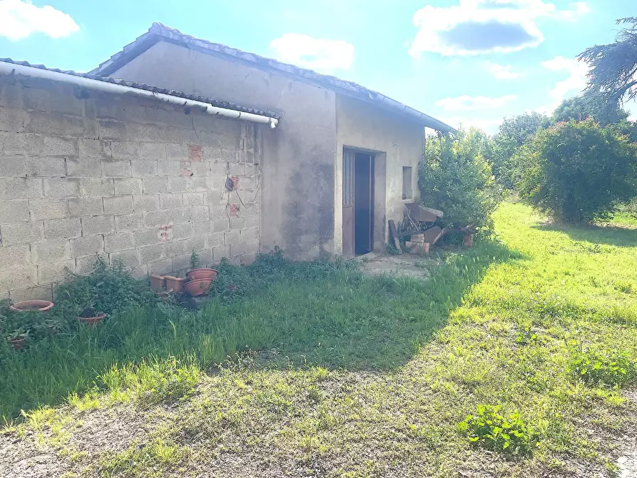 Immagine 4 di Terratetto in vendita  a Cerreto Guidi