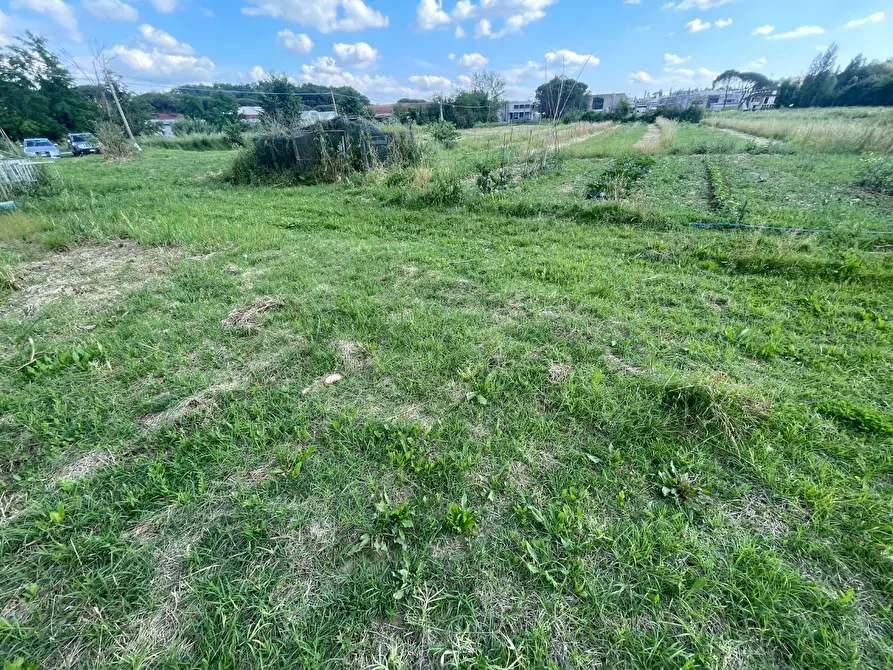 Immagine 18 di Terratetto in vendita  a Cerreto Guidi