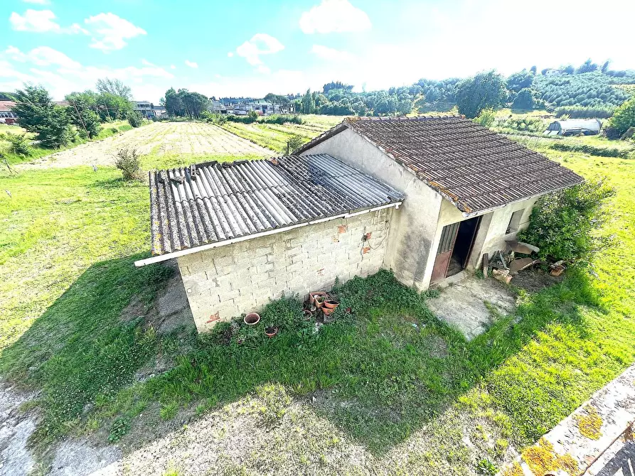 Immagine 5 di Terratetto in vendita  a Cerreto Guidi