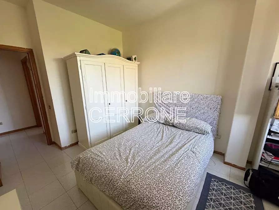 Immagine 15 di Terratetto in vendita  a Cecina