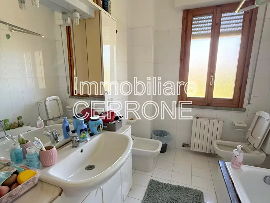 Immagine 18 di Terratetto in vendita  a Cecina