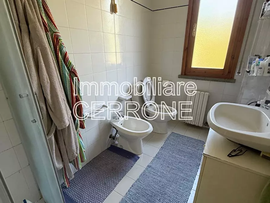 Immagine 11 di Terratetto in vendita  a Cecina