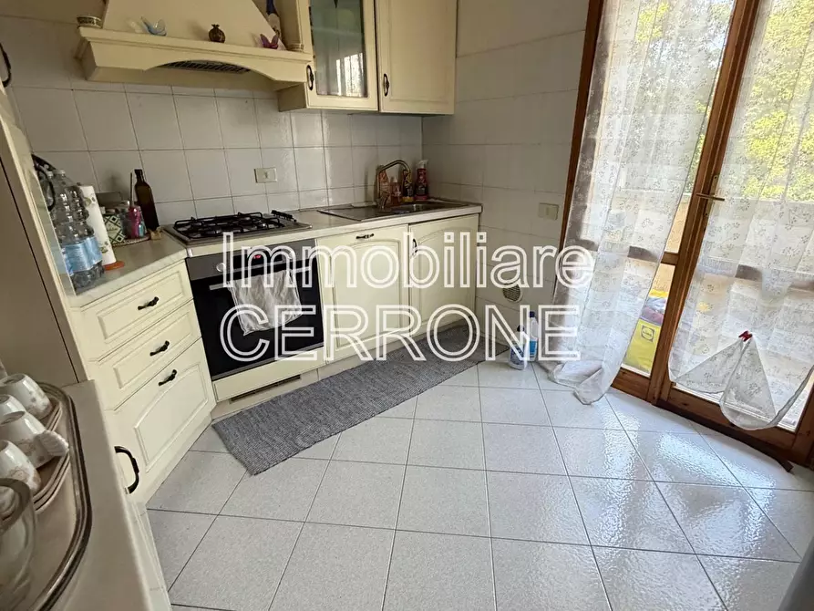 Immagine 9 di Terratetto in vendita  a Cecina