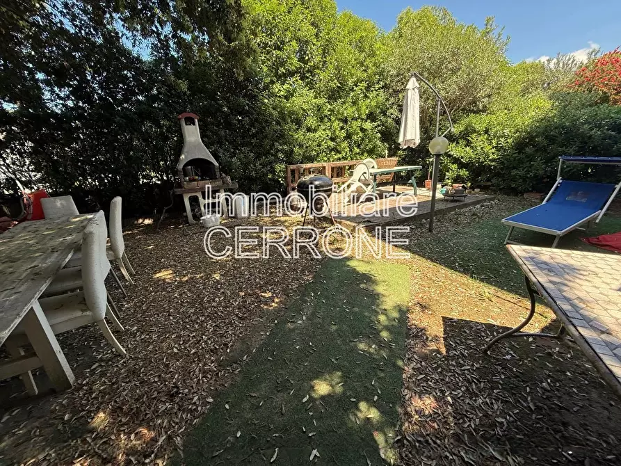 Immagine 24 di Terratetto in vendita  a Cecina