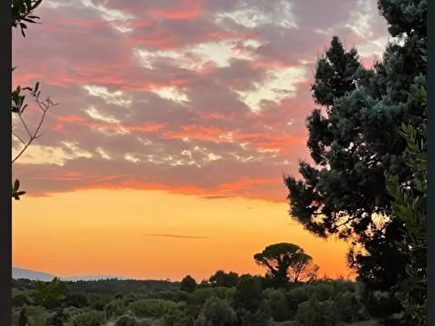 Immagine 13 di Villa in vendita  a Fucecchio