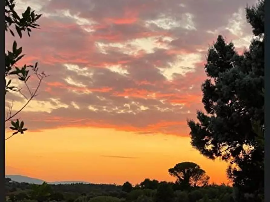 Immagine 14 di Villa in vendita  a Fucecchio
