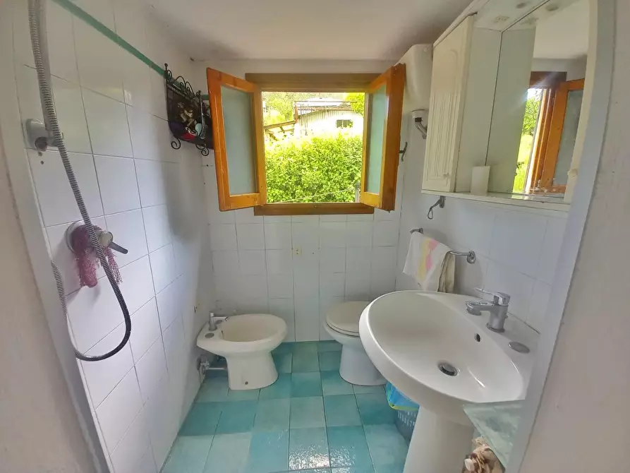 Immagine 19 di Terratetto in vendita  a Castelfiorentino