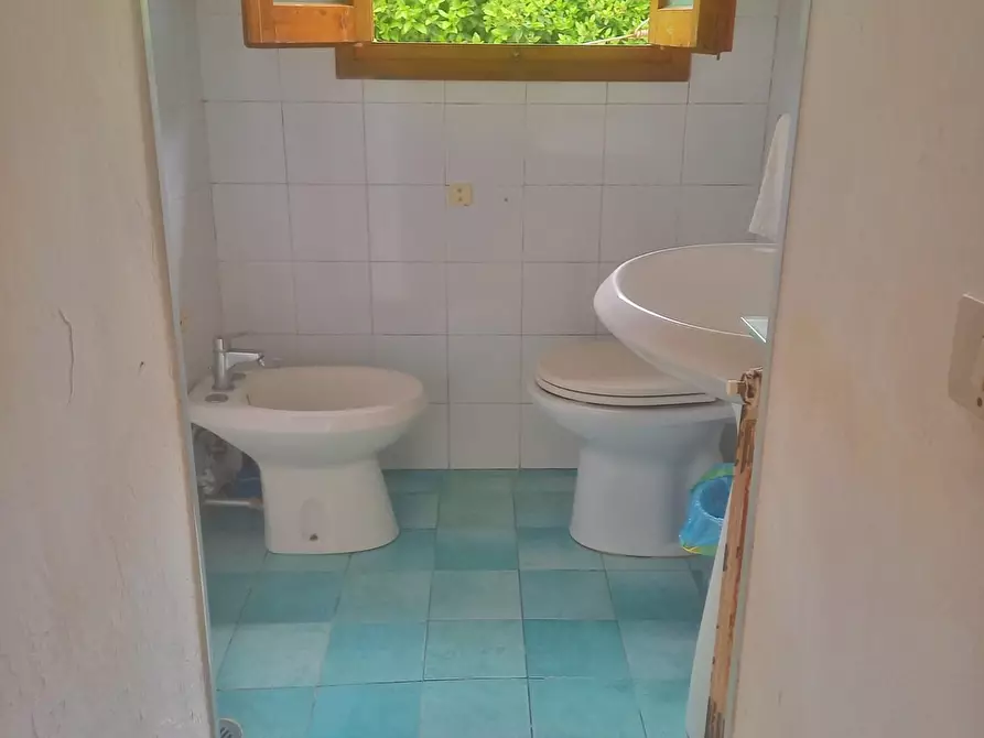 Immagine 16 di Terratetto in vendita  a Castelfiorentino