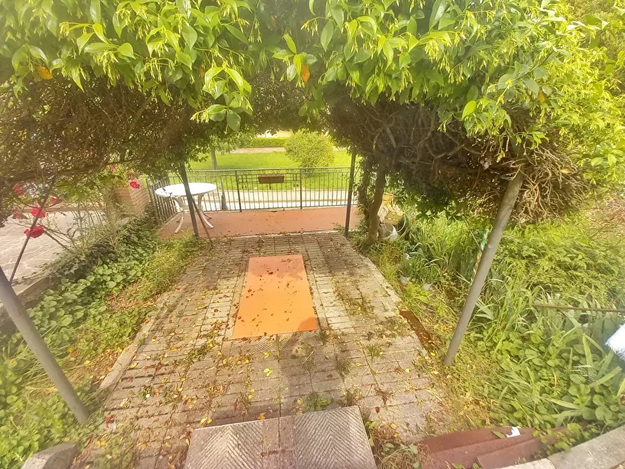 Immagine 25 di Terratetto in vendita  a Castelfiorentino