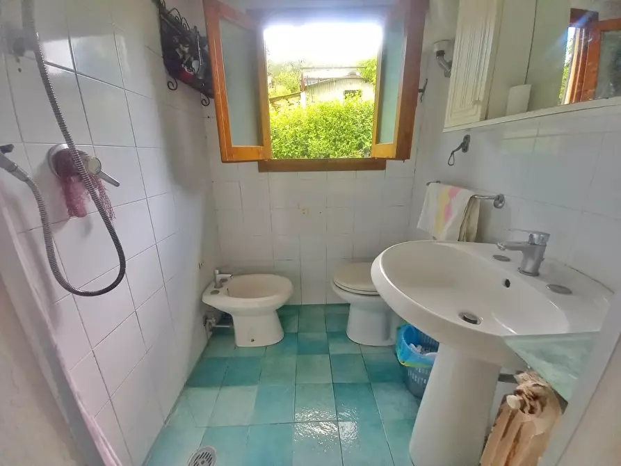 Immagine 18 di Terratetto in vendita  a Castelfiorentino