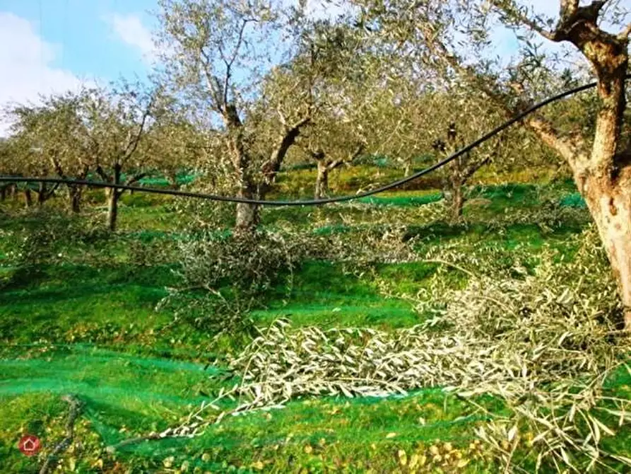 Immagine 15 di Casa indipendente in vendita  a Pietrasanta