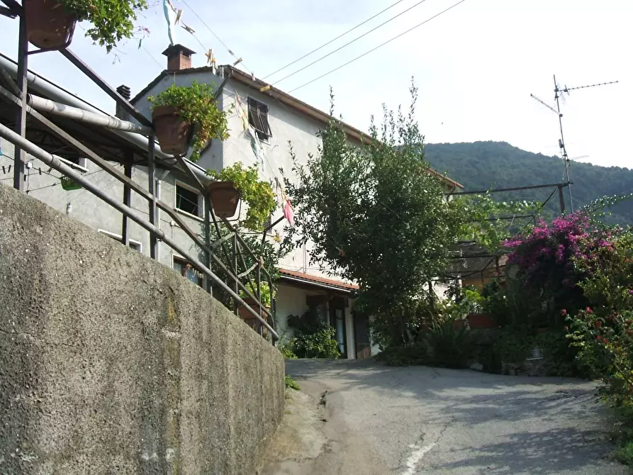 Immagine 18 di Casa indipendente in vendita  a Pietrasanta