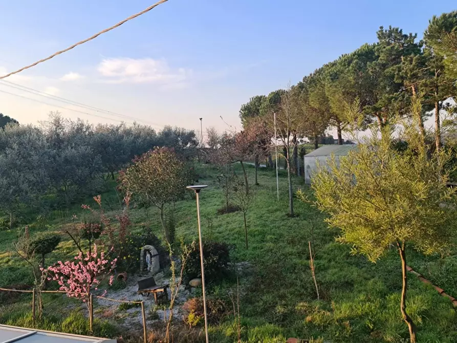 Immagine 44 di Villa in vendita  a Empoli