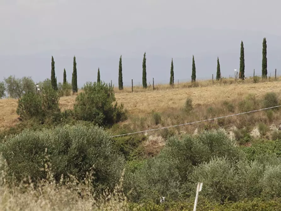 Immagine 53 di Villa in vendita  a Empoli