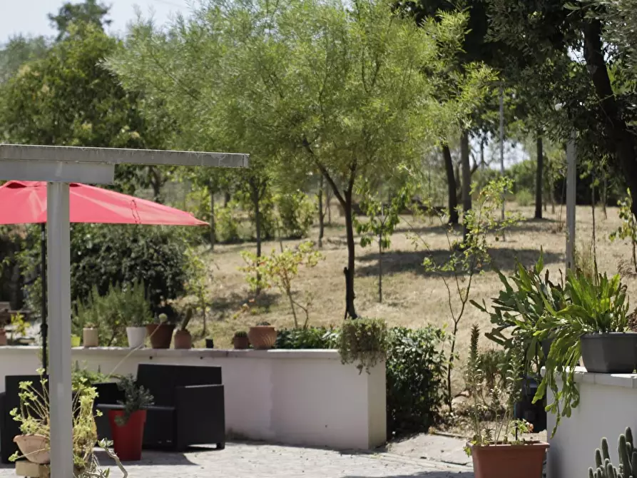 Immagine 6 di Villa in vendita  a Empoli