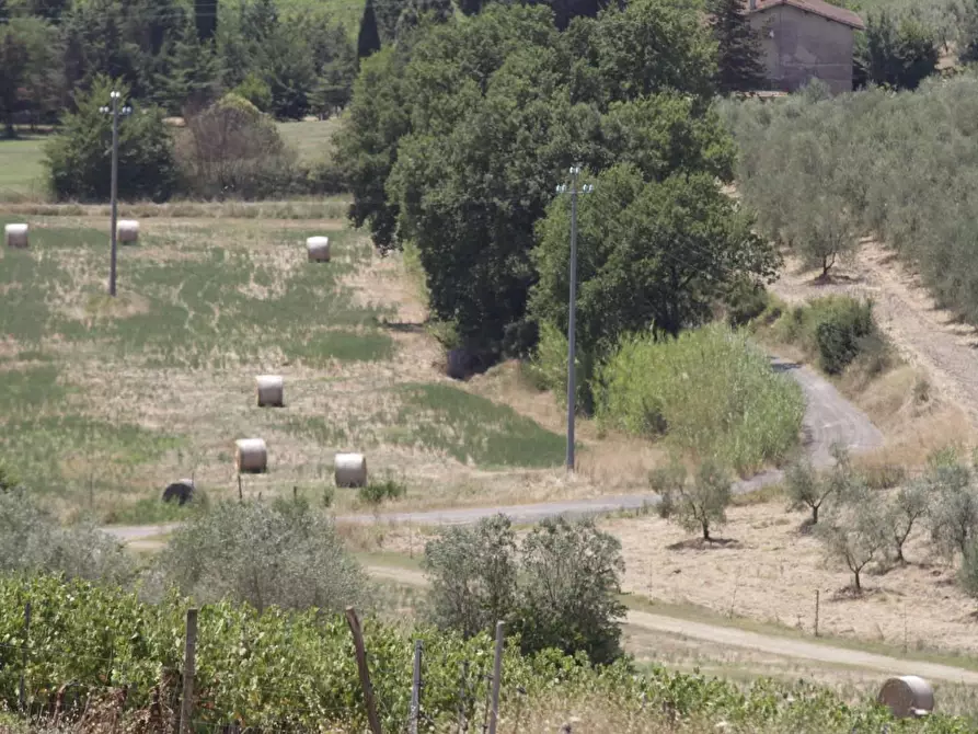 Immagine 51 di Villa in vendita  a Empoli