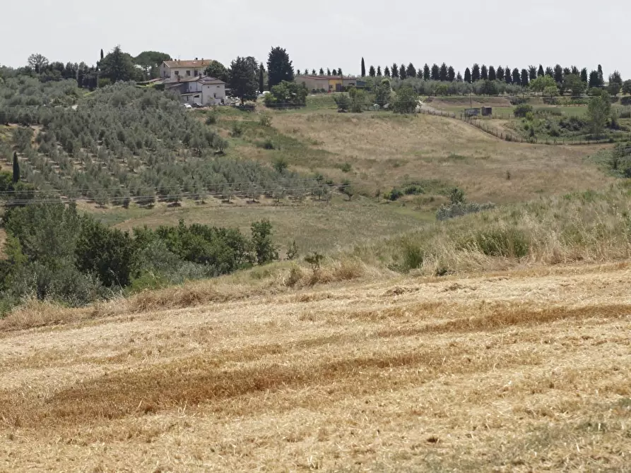 Immagine 49 di Villa in vendita  a Empoli