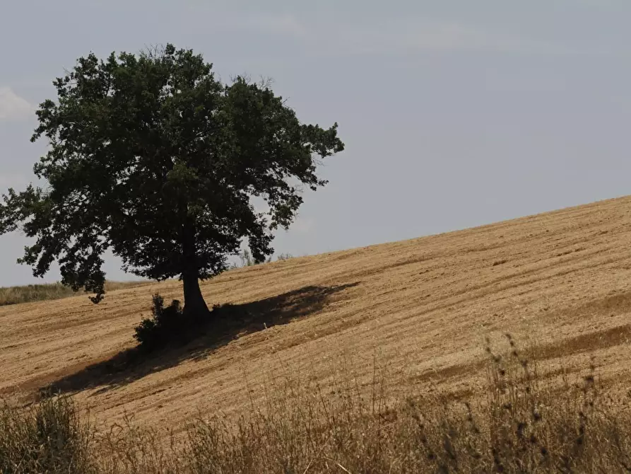 Immagine 47 di Villa in vendita  a Empoli