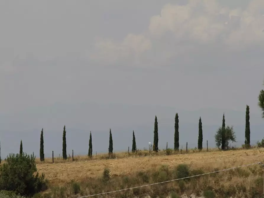 Immagine 52 di Villa in vendita  a Empoli