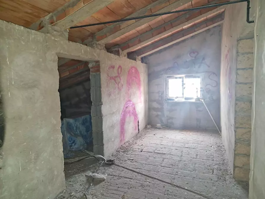 Immagine 34 di Appartamento in vendita  a Piombino